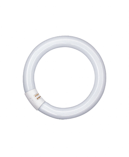 Imagine TUB FLUORESCENT CIRCULAR T9 22W/2700K/827 G10Q OSRAM