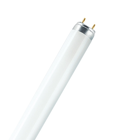 Imagine TUB FLUORESCENT T8  30W 6500K/2350LM G13